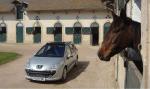 Peugeot 207 SW 2008 года